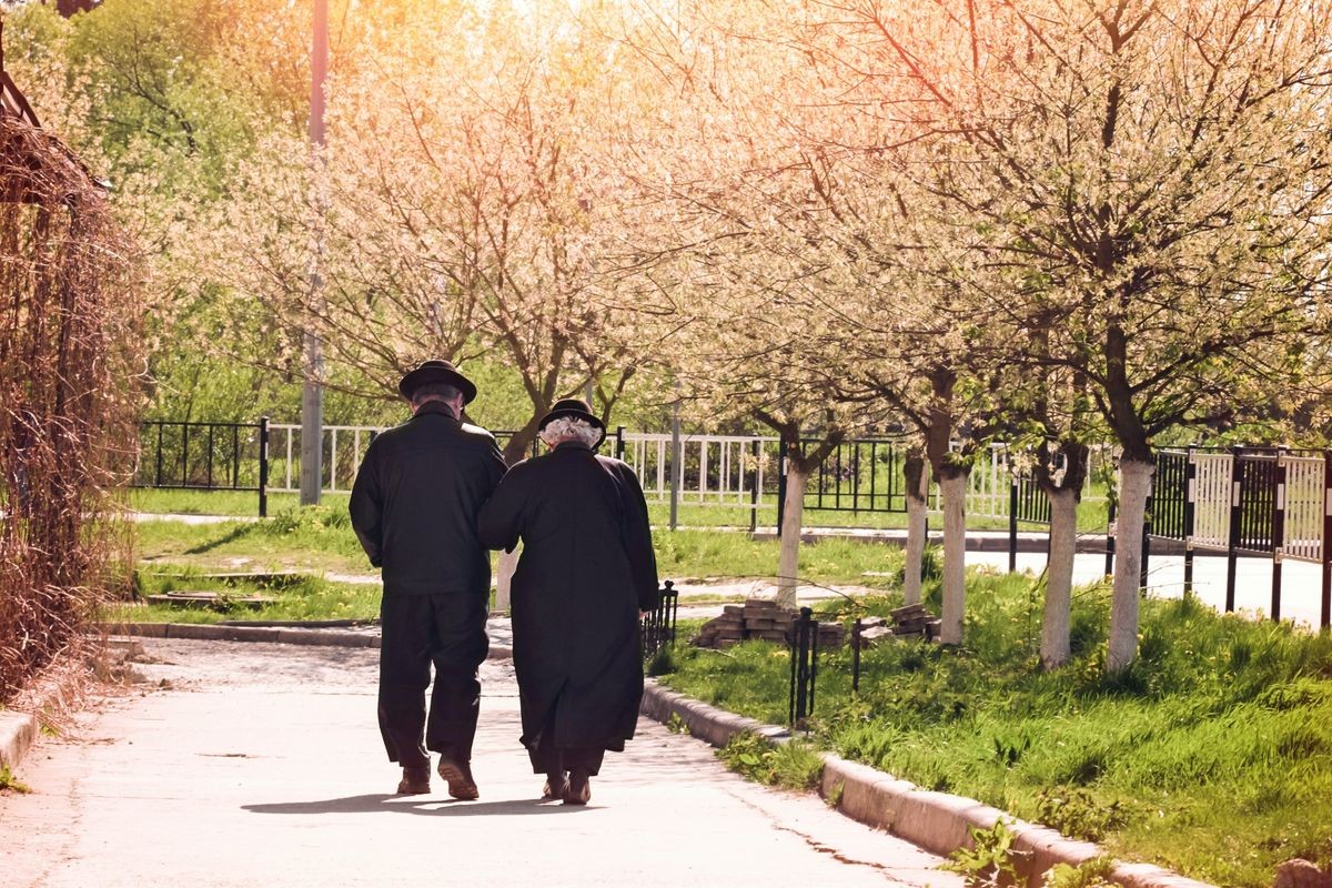 Elderly couple walking together back view. Spring blossom trees, green trees